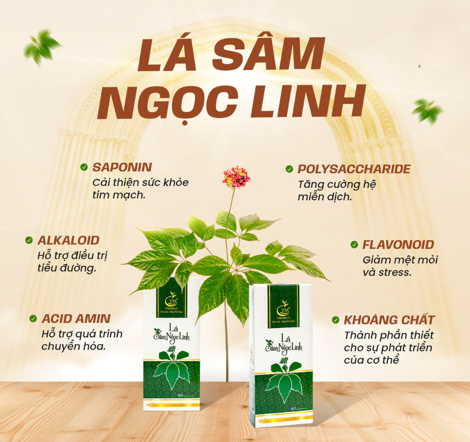 lá sâm ngọc linh có tác dụng gì
